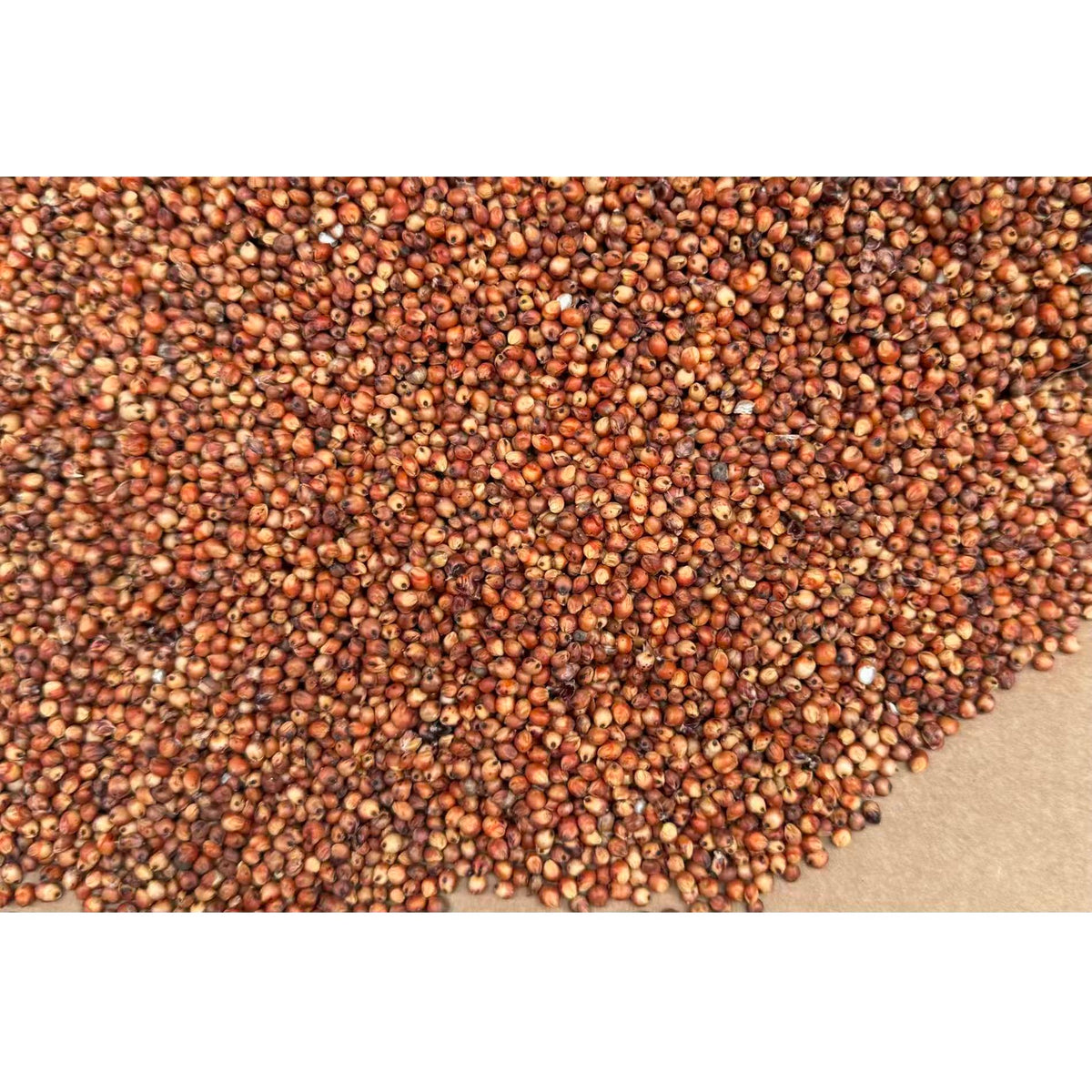 Red Sorghum 1kg